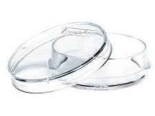 Oosafe TF06 – 35mm Dish