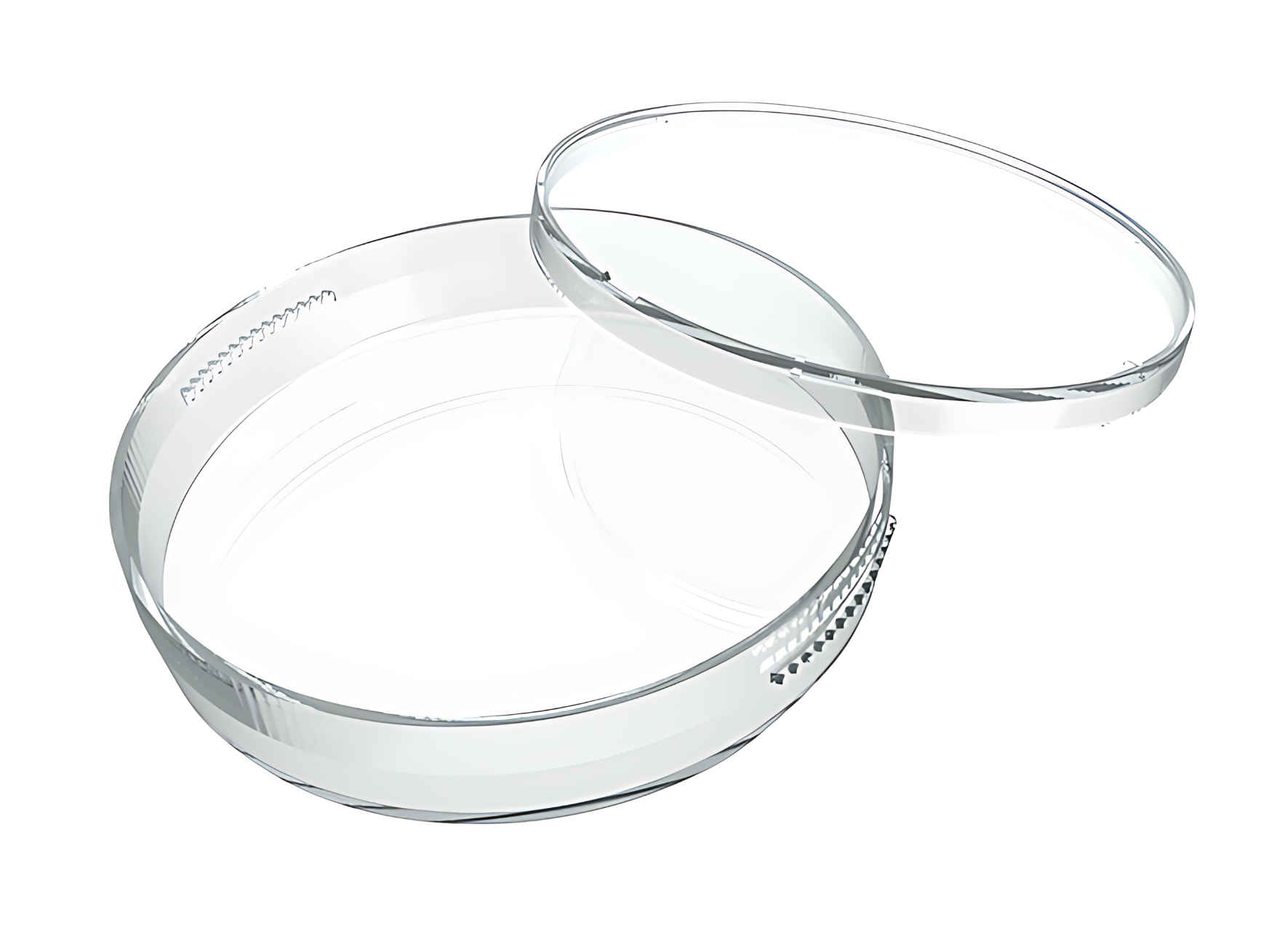 50mm Thin Bottom Dish
