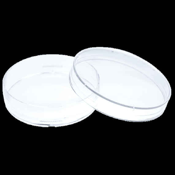 60mm Dish